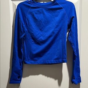 Vibrant Blue Long Sleeve Workout Top